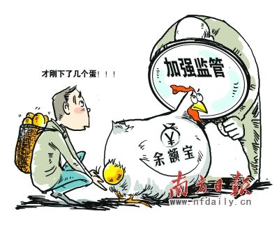 204daiyun.cn.jpg