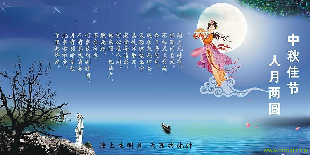 204daiyun.cn.jpg