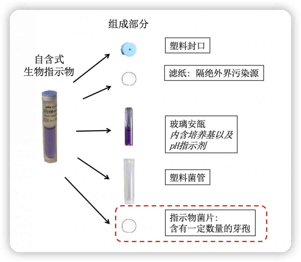 自含式生物指示劑結(jié)構(gòu).png 自含式生物指示劑結(jié)構(gòu).png