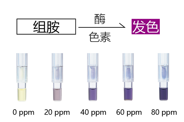 原理結(jié)構(gòu)圖.jpg 原理結(jié)構(gòu)圖.jpg